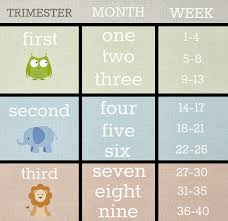 My First Trimester Ainna Fathi