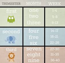 My First Trimester Ainna Fathi