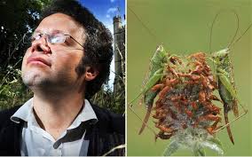 Man who released 1,000 crickets in his garden receives police warning