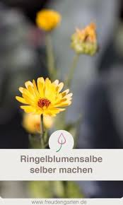 Ringelblumensalbe Selber Machen Ringelblumensalbe Selber Machen Selber Machen Salbe