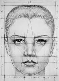 Eyebrows that are well groomed and apart from one another are attractive, while brows that are too thin have the opposite effect. Face Proportions By Pmucks On Deviantart