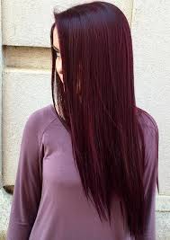 25 Long Straight Dark Hair Color Ideas 2018 Pics Bucket Wine Hair Hair Color Plum Dark Burgundy Hair