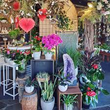 Maybe you would like to learn more about one of these? Blossoms Flower Shop Home Facebook