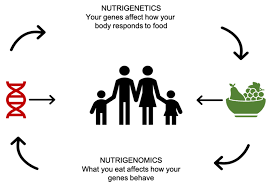Nutrients Free Full Text Innovations In Infant Feeding Future Challenges And Opportunities In Obesity And Cardiometabolic Disease Html