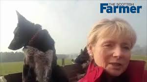 Pick up your copy of The Scottish Farmer this Friday