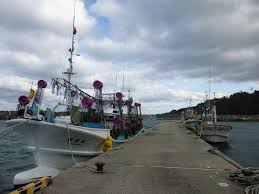 イワナの散歩Ⅱ - ライブドアブログ