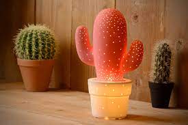 There's a part there which is i suspect that more light will help improve the health of your plant in a general way, but it will probably do you think that's too weak of a lamp? Cactus Table Lamp O 20 Cm 1xe14 Pink