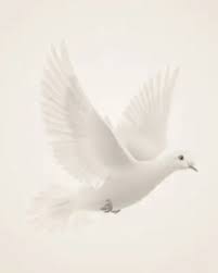 Obituary information for Donna Marie Sweet