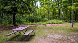 This provides access for use by area residents, campers and tourists, who access the lake from the state forest campground located at its northwest corner. Forest Lake State Forest Campground Michigan