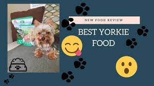 Dr Marty Nature S Blend Food Review Youtube