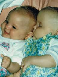 Complete Guide to the Roche Family: Net worth, history, legal battles