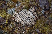Lockerung des gesteins durch mechanische prozesse ohne veränderung der mineralbestandteile so kann chem. Verwitterung Wikipedia