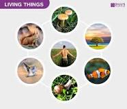 Image result