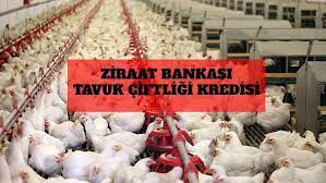 Ana sayfa » kosgeb » 2021 çiftçilere verilen güncel devlet destekleri nelerdir? Ziraat Bankasi Tavuk Ciftligi Kredisi Devlet Destekleri 2021