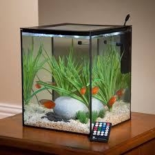 Current Solo Desktop Aquarium