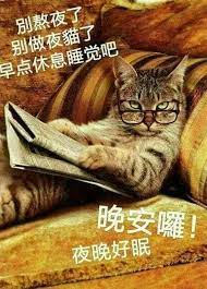 pin by mulu hao on 晚安早安语录 good night greetings good night quotes good morning good night