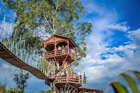 Nah, untuk masuk kawasan bukit alesano dan ingin camping, pengunjung pun harus membayar tiket dengan harga rp15.000 per orang per malam. Bukit Cinangkiak Wisata Baru Di Danau Singkarak