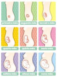 30 Melhor Ideia De Fases Da Gravidez Fases Da Gravidez Gravidez Gravida De Primeira Viagem