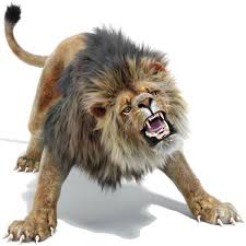 Rigged Lion 3d Models 3d Models Of Rigged Lion For Game Vr Options And Rendering Project By Promax 3d 3d Photo Realisti Dikie Zhivotnye Bolshie Koshki Zhivotnye