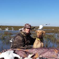 Chesapeake bay retriever puppies for sale near houston, texas, usa, page 1 (10 per page) puppyfinder.com is your source for finding an ideal chesapeake bay retriever puppy for sale near houston, texas, usa area. Bigbaydogs Chesapeake Bay Retrievers Home Facebook