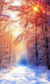 See the best nature wallpaper hd desktop collection. Download Mobile Wallpapers Hd Group 59