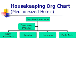 Organizational Chart Of Medium Sized Hotel