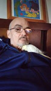 Apart from Elmley, where else