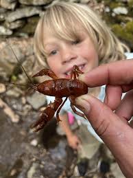 Micro-Adventuring with Jennifer Pharr Davis