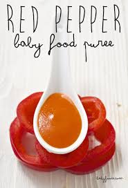 Red Pepper Baby Food Puree 4 Months Stage 1 Baby Foode Recipe Baby Food Recipes Pureed Food Recipes Baby Puree Recipes