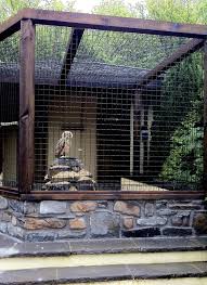 Bird Aviary For Sale Nsw Owl Aviary Bird Aviary Aviary Bird Houses