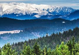 Also, western union's business transfer option lets you use hedging tools to get even more flexibility. Send Money To Romania Western Union Uk