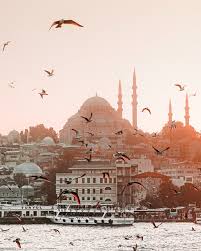 Der besten webseite für hintergrundbilder. 300 Besten Istanbul Fotos 100 Kostenloser Download Pexels Stock Fotos
