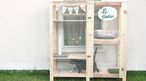 Simple Ish Cat Room Using 2 Ikea Shelves Some Wood And Chicken Wire Bricolage Pour Chat Jeux Pour Chat Enclos Chat