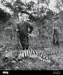 Prince wales hunting tiger in hi-res ...