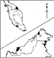 Peta tanah tinggi di malaysia. Geografi Tingkatan 1 Tanah Pamah Dan Tanah Tinggi Proprofs Quiz