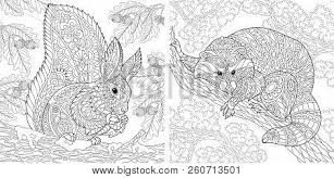 Either way, they are all totally free! Coloring Pages Vector Photo Free Trial Bigstock