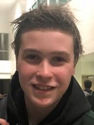 Who are the top 5 boys swimmers and divers in Livingston County?