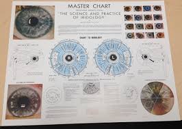 Mini Master Wall Chart 11 X 14 Unlaminated