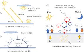 A Straightforward Spectral Emissivity Estimating Method Based On  Constructing Random Rough Surfaces | Light: Science & Applications