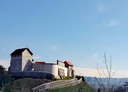 Astfel, dacă te întrebai ce poți vizita în bucurești, grădina zoologică este alegerea perfectă pentru o plimbare relaxantă. Sinca Veche Prejmer Harman Feldioara Tara Dacilor