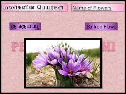 Keeping this in mind, we teach you to write the letters of the tamil alphabet. Name Of Flowers In Tamil Part Iii
