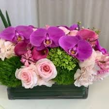 Sign up for special offers! Send Phalaenopsis Orchids Greenwich Ct Flower Delivery Bloomnation