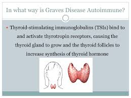 MONTANA WRIGLEY & SIERRA RYALS Graves Disease. What is Graves' Disease? An  immune system disorder that results in the production of thyroid hormones  Causes.