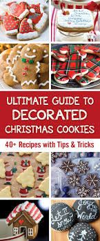 One cookie can take her up to 45 minutes to decorate, so if you learn nothing else from this, learn that it takes patience to make those cookies look good. Ultimate Guide To Decorated Christmas Cookies 40 Recipes Plating Pixels