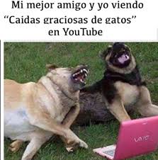 Collection by patricia cabrera • last updated 9 days ago. How To Learn Spanish Using Funny Memes Spanish Classes London Spanish Courses London Stripey Spanish