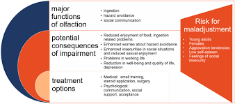 Image result for Drug-Induced Olfactory Dysfunction