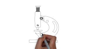 Pencil Easy Simple Microscope Diagram Novocom Top