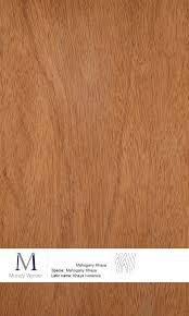 Image result for Khaya