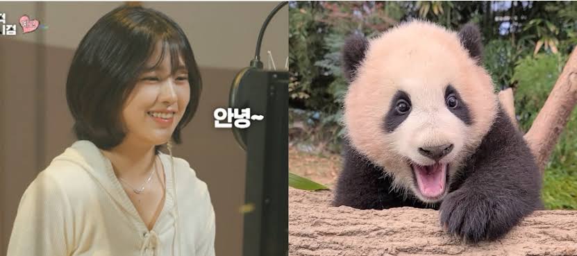 images?q=tbn:ANd9GcTetEOKQp2QPa60XMlXZ4azzsoD1yLVj9dIRymuFXmpURhRT_Xds3afux0&s=10