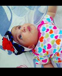 Wilmer Daniel Quijada Castillo